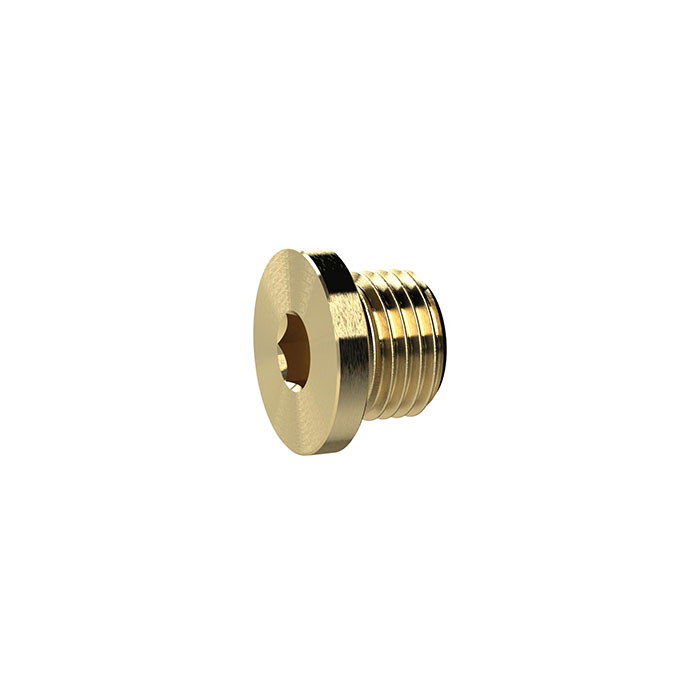 Locking screw, Hexagonal socket and flange, G 1/2, AF 10, Brass